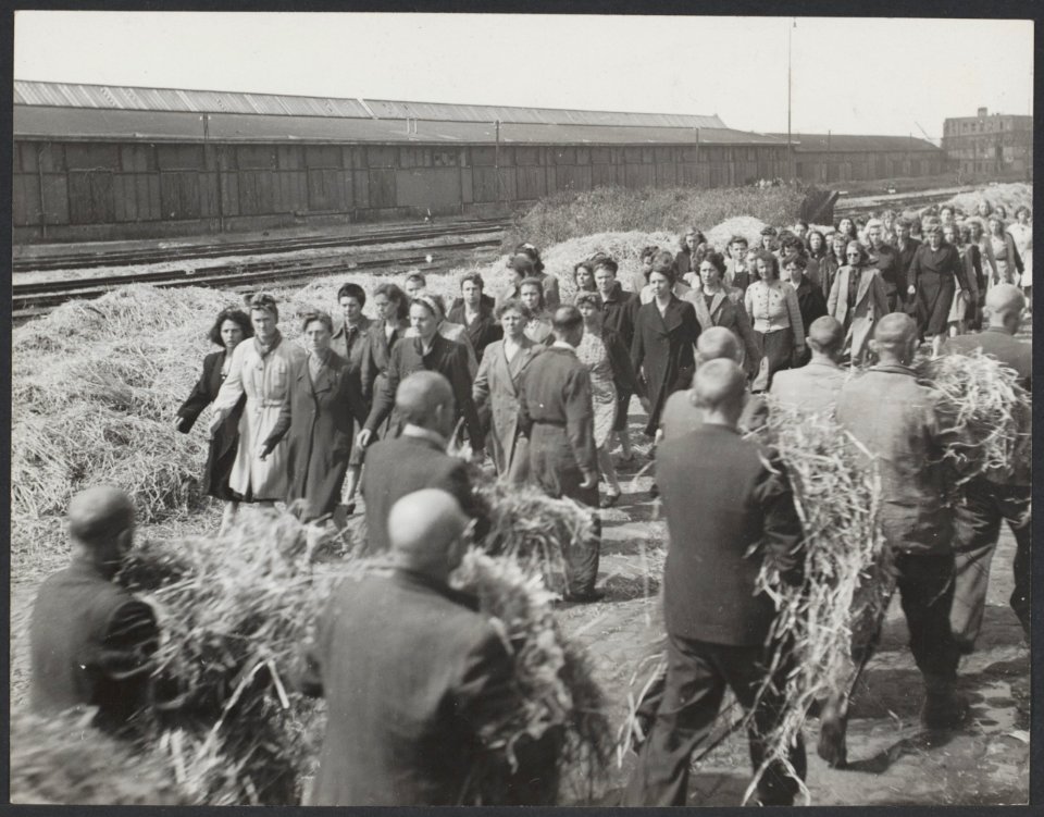 Het interneringskamp aan de Levantkade te Amsterdam. In de grote loodsen aan de , Bestanddeelnr 31017 051