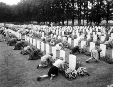 Herdenking strijd Arnhem, Airbornekerkhof, schoolkinderen versieren graven, Bestanddeelnr 906-7260