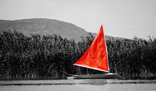 Red viz lake balaton photo