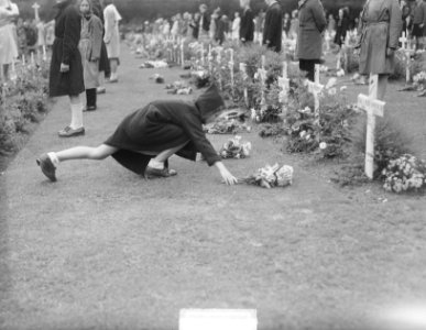 Herdenking Slag om Arnhem, bloemen leggen op het Oosterbeek War Cemetery (Airbor, Bestanddeelnr 903-6143