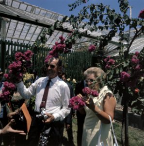 Het koninklijk paar in de plantentuin van Bogor bij de bougainville, Bestanddeelnr 254-9047