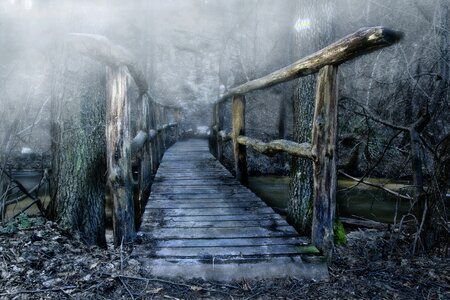 Wooden bridge color the fog photo