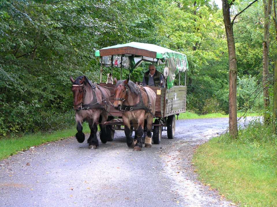 Hessenpark, Planwagen