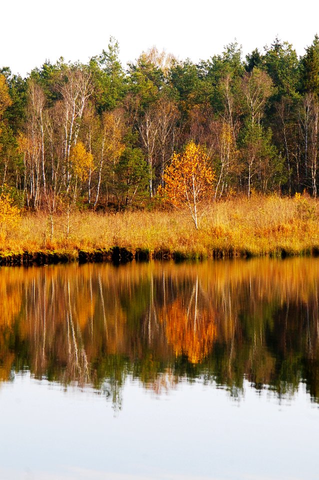 Herbst im Weidmoos5