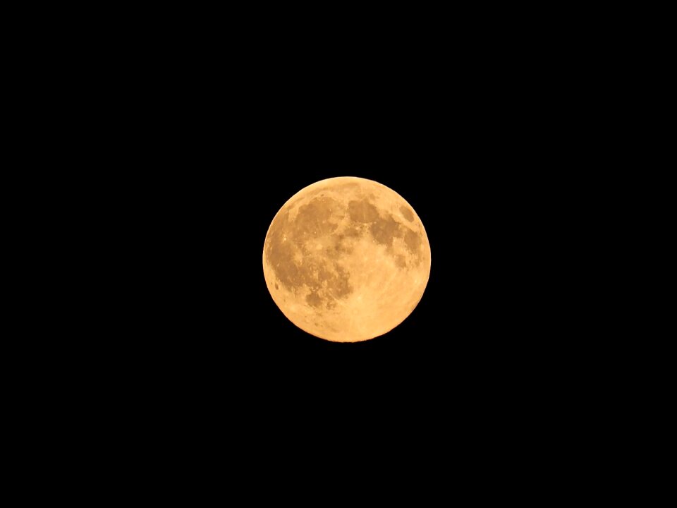 Earth companion the moonlight earth