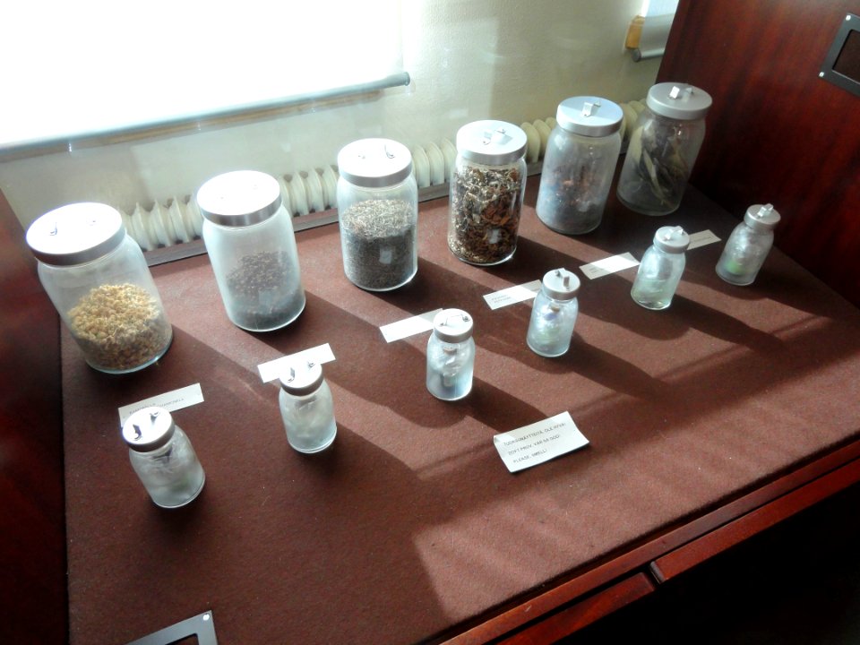 Herbs - Arppeanum - DSC05137