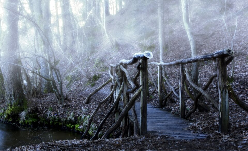 Haze wooden bridge forest photo