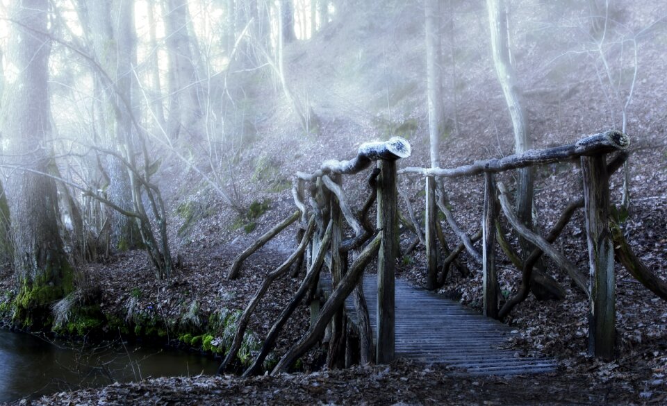 Haze wooden bridge forest