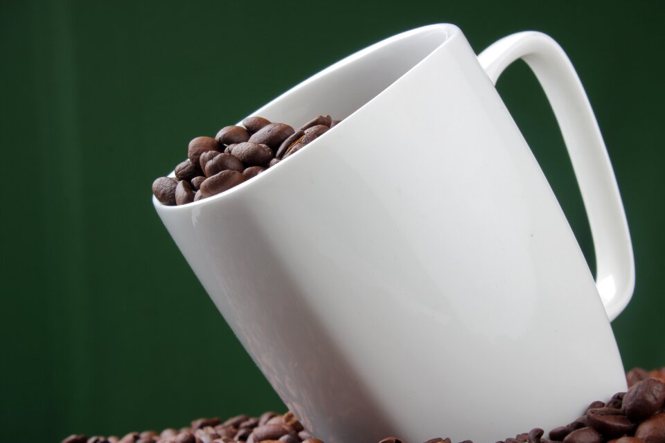 Coffee bean photography drink