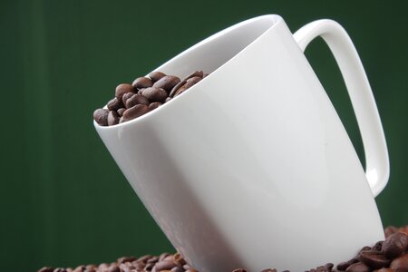 Coffee bean photography drink