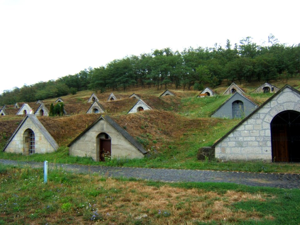 Hercegkút, pincesor