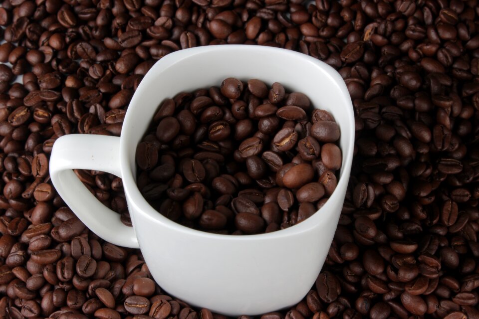 Coffee bean mug photography