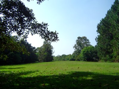 Henry Jordan Park photo