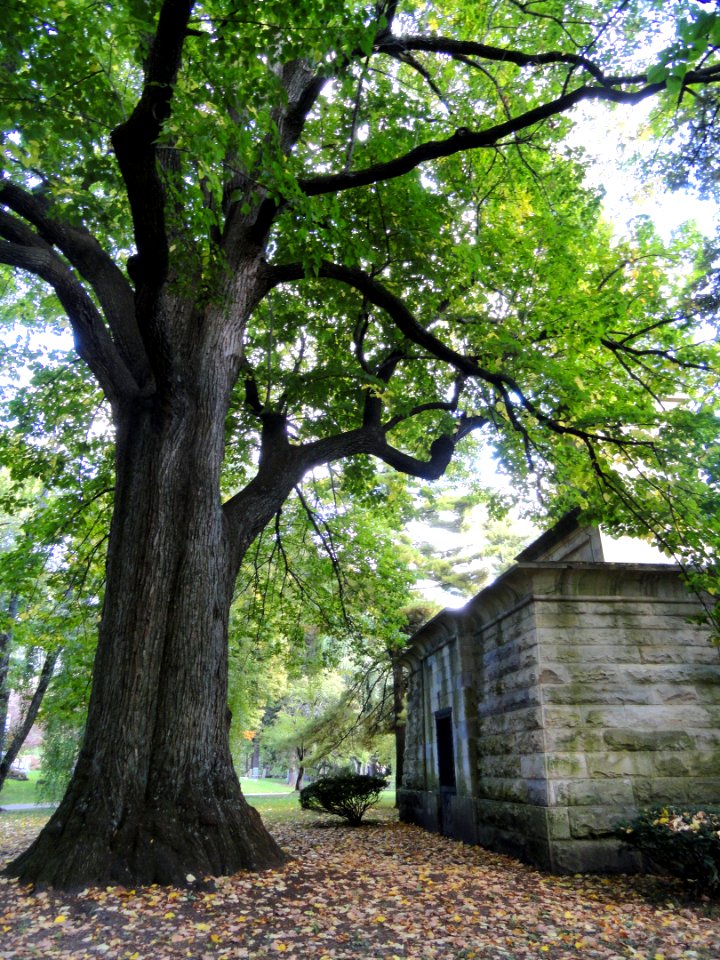 Henry Clay's grave in Lexington - DSC09041