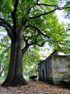Henry Clay's grave in Lexington - DSC09041