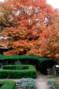 Herb garden, Mellon Park, 2008-11-08, 02