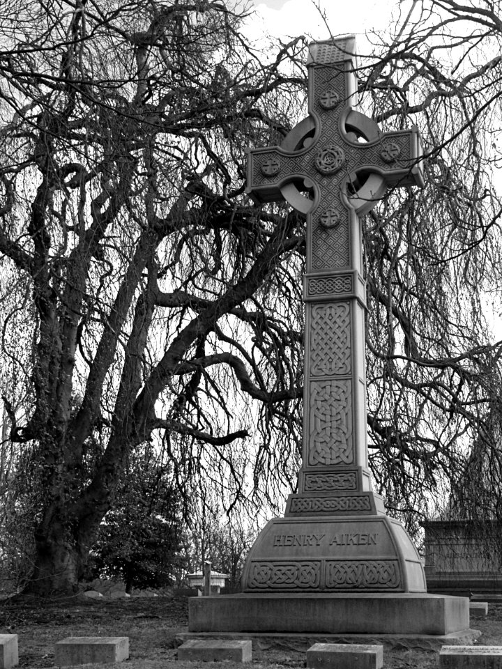Henry Aiken Cross, Homewood Cemetery, 2015-03-30, 01