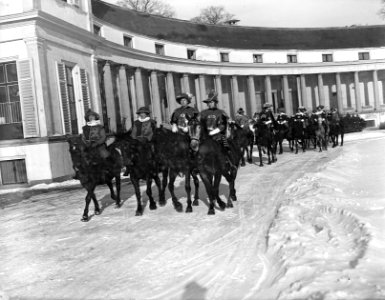 Herauten bij Paleis Soestdijk, Bestanddeelnr 902-0443
