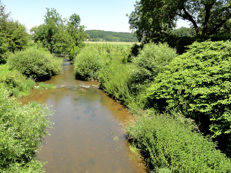 Herbéviller (M-et-M) la Biette (01)