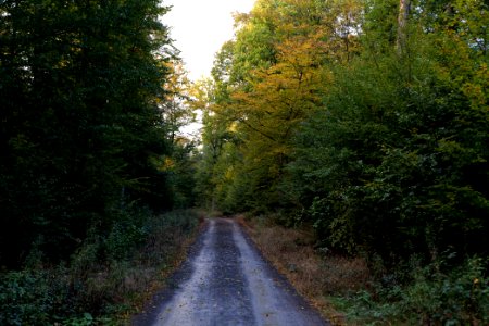 Herrenwald Stadtallendorf 2020-10-07 53