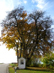 Herrnsberg, OT von Greding (5)