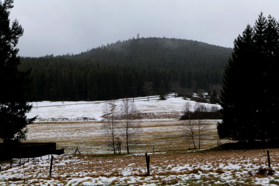 Herrenwies-Forbach 2020-03-10 07