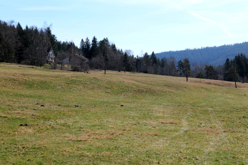 Herrenwies-Forbach 2020-03-15 08