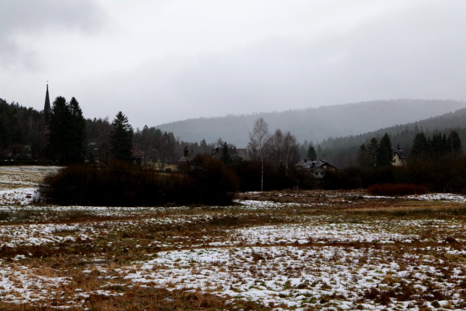 Herrenwies-Forbach 2020-03-10 03
