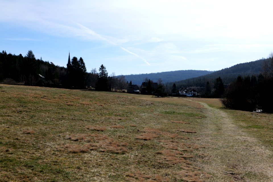 Herrenwies-Forbach 2020-03-15 03
