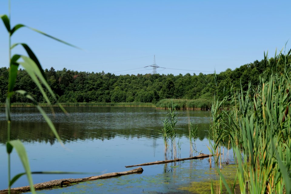 Herrensee Strausberg 2020-08-05 12