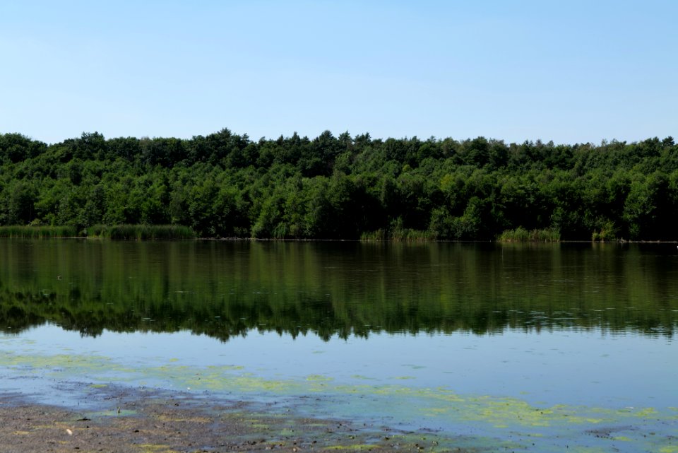 Herrensee Strausberg 2020-08-05 04