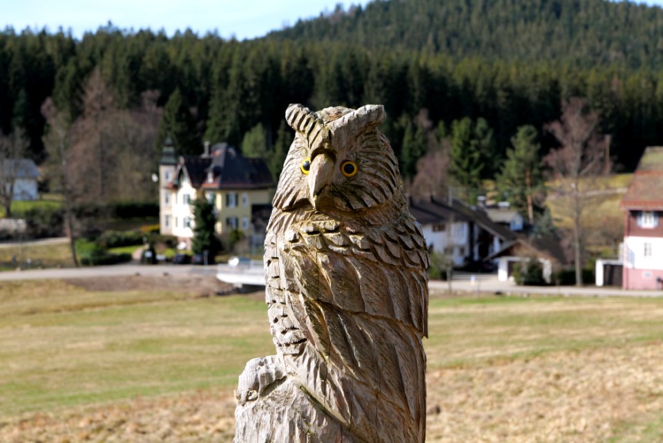 Herrenwies-Forbach 2020-03-15 12