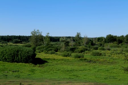 Herrensee, Lange-Damm-Wiesen und Barnim-Hänge 2020-08-05 204