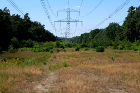 Herrensee, Lange-Damm-Wiesen und Barnim-Hänge 2020-08-05 23