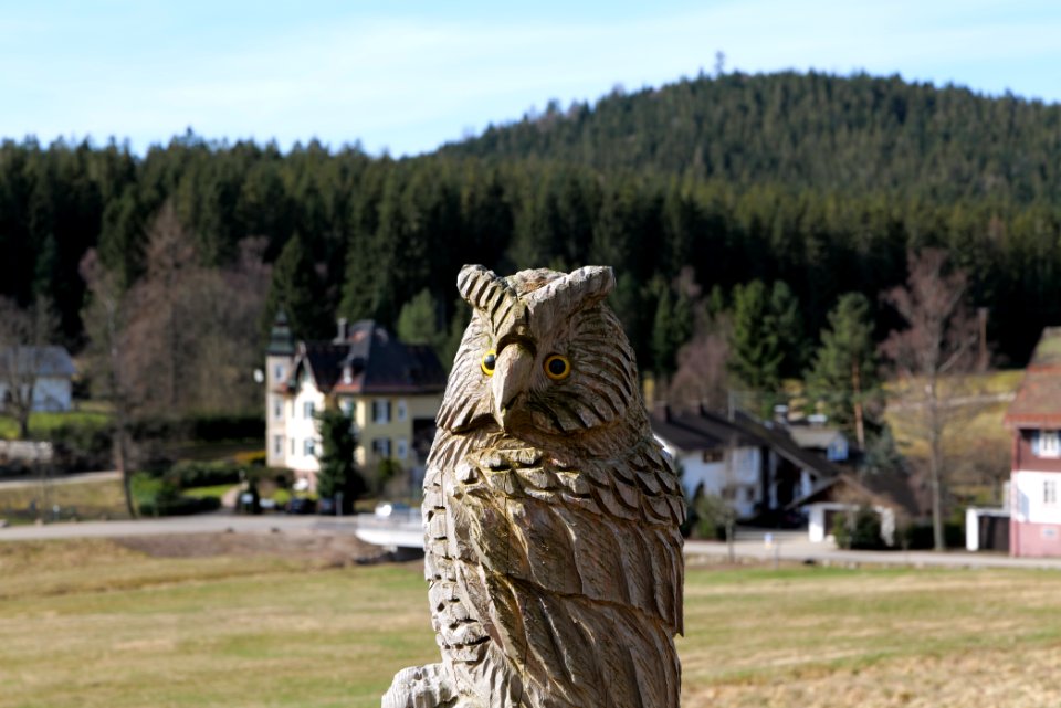 Herrenwies-Forbach 2020-03-15 14