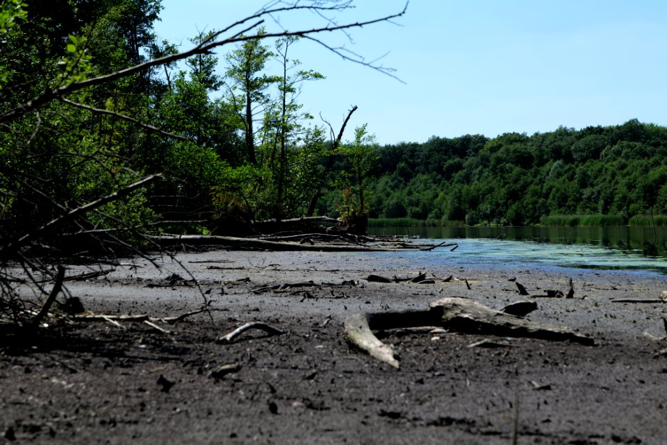 Herrensee Strausberg 2020-08-05 15