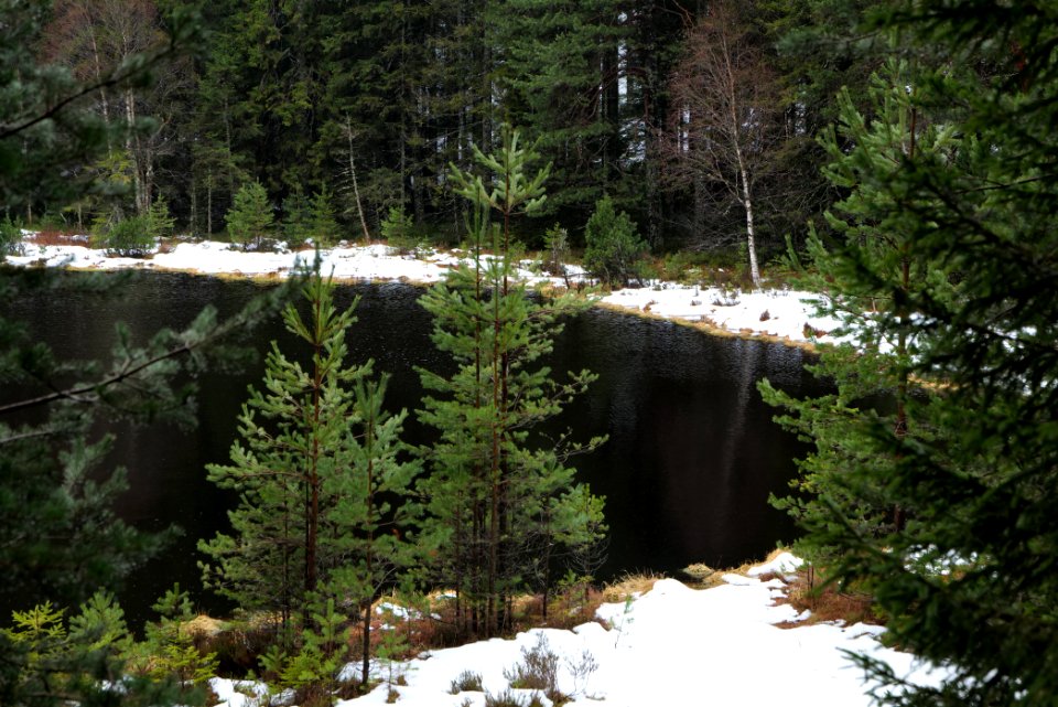 Herrenwieser See 2020-03-10 17