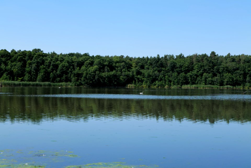 Herrensee Strausberg 2020-08-05 08