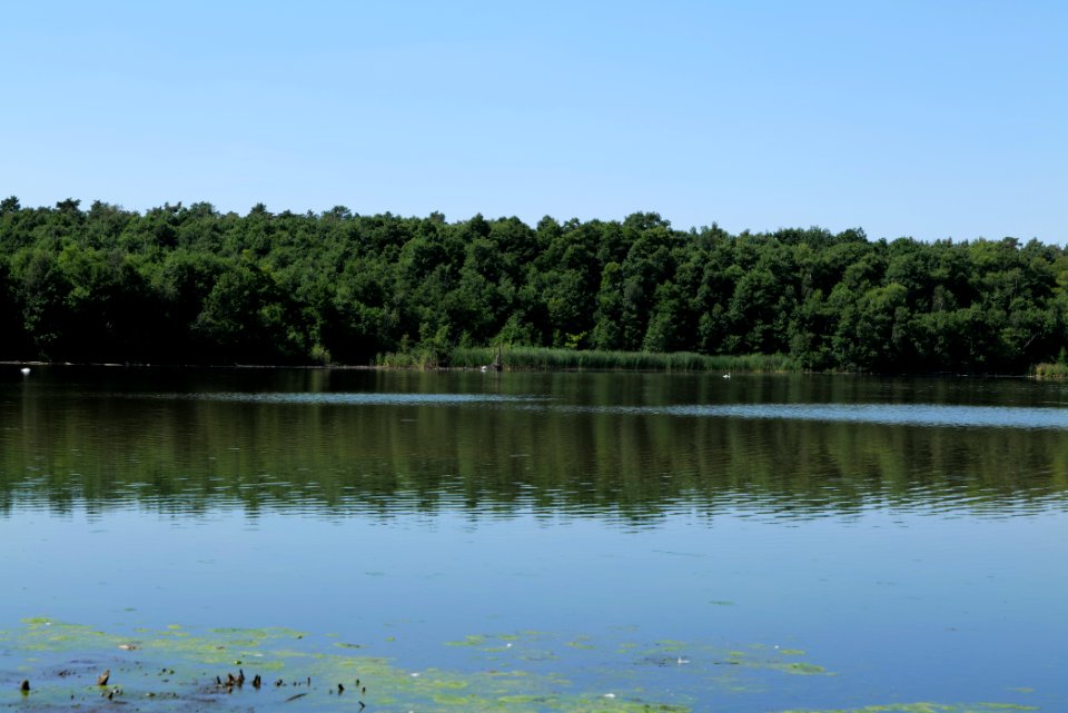 Herrensee Strausberg 2020-08-05 06