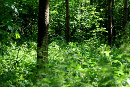 Herrensee, Lange-Damm-Wiesen und Barnim-Hänge 2020-08-05 99