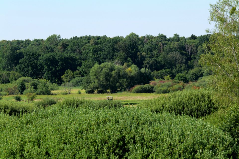 Herrensee, Lange-Damm-Wiesen und Barnim-Hänge 2020-08-05 225