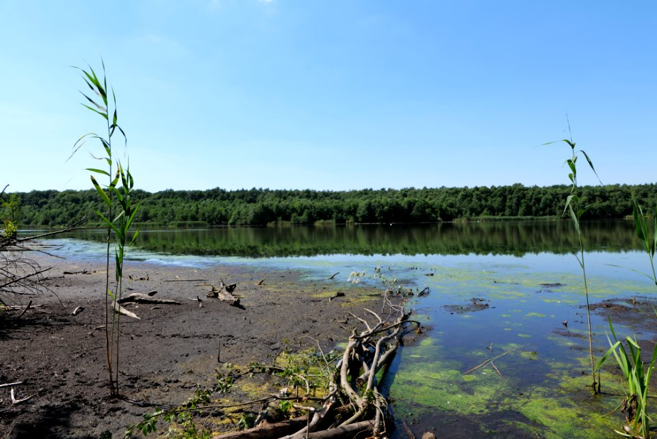 Herrensee Strausberg 2020-08-05 33