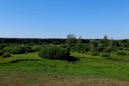 Herrensee, Lange-Damm-Wiesen und Barnim-Hänge 2020-08-05 212