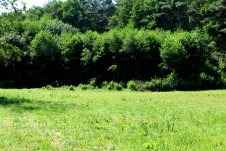 Herrensee, Lange-Damm-Wiesen und Barnim-Hänge 2020-08-05 68