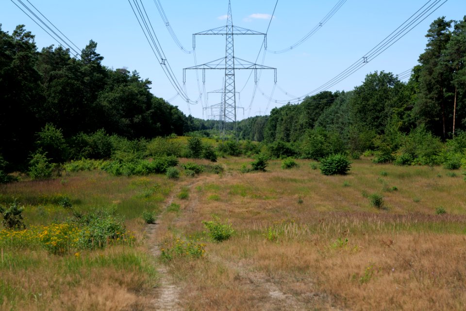 Herrensee, Lange-Damm-Wiesen und Barnim-Hänge 2020-08-05 20