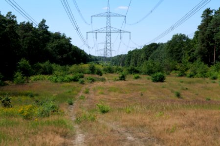 Herrensee, Lange-Damm-Wiesen und Barnim-Hänge 2020-08-05 20