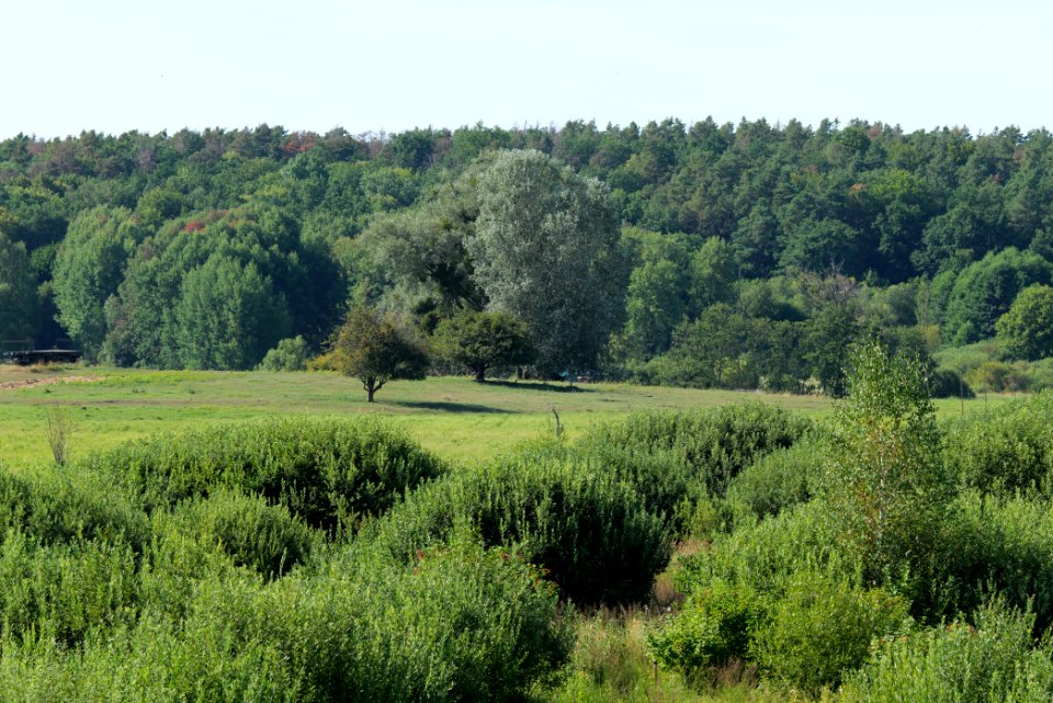 Herrensee, Lange-Damm-Wiesen und Barnim-Hänge 2020-08-05 220