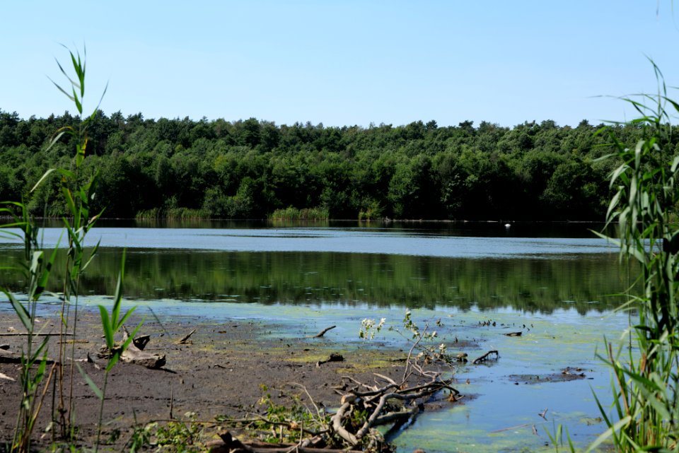 Herrensee Strausberg 2020-08-05 35