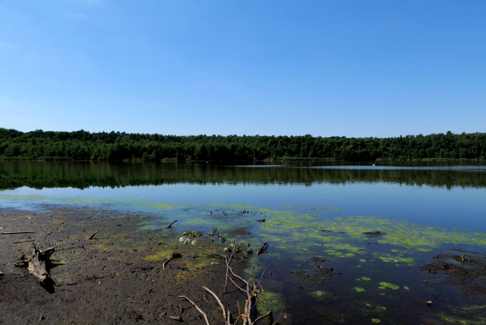 Herrensee Strausberg 2020-08-05 01