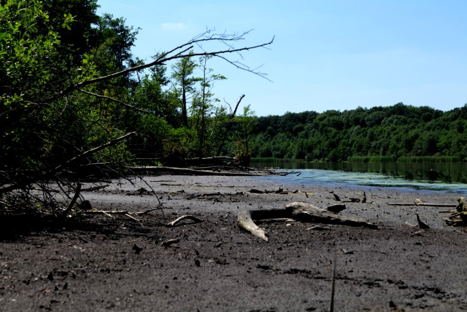 Herrensee Strausberg 2020-08-05 16